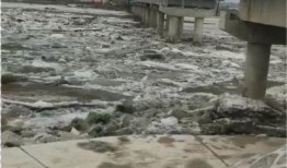 哈尔滨大桥最新爆料,揭秘工程背后的故事与挑战